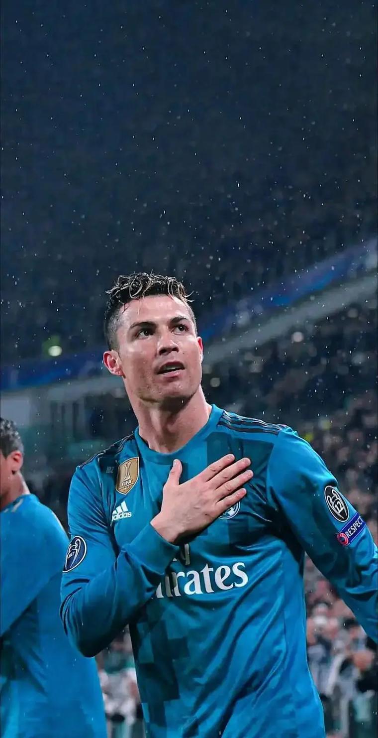 SaaS面板选择标准